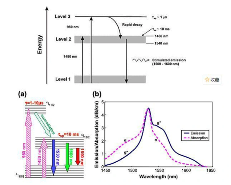 Erbium-Doped Fibra Amplifier (EDFA) ad amplificationem optica Erbium-Doped Fibra Amplifier (EDFA) ad amplificationem optica